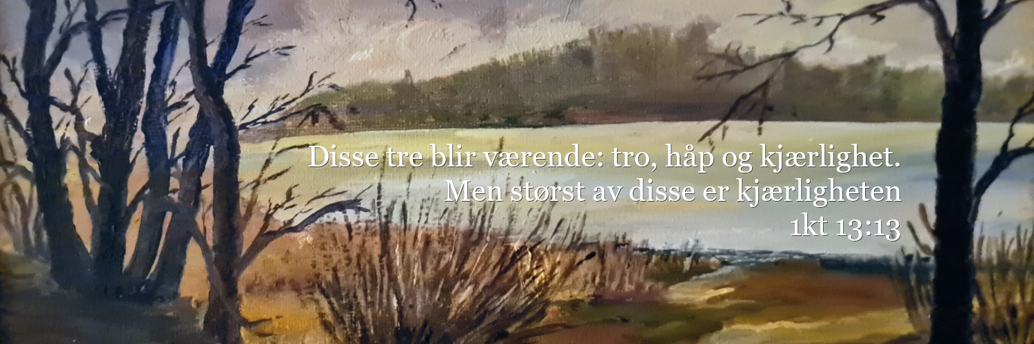 Anders S. Nordbø 🕊️ banner