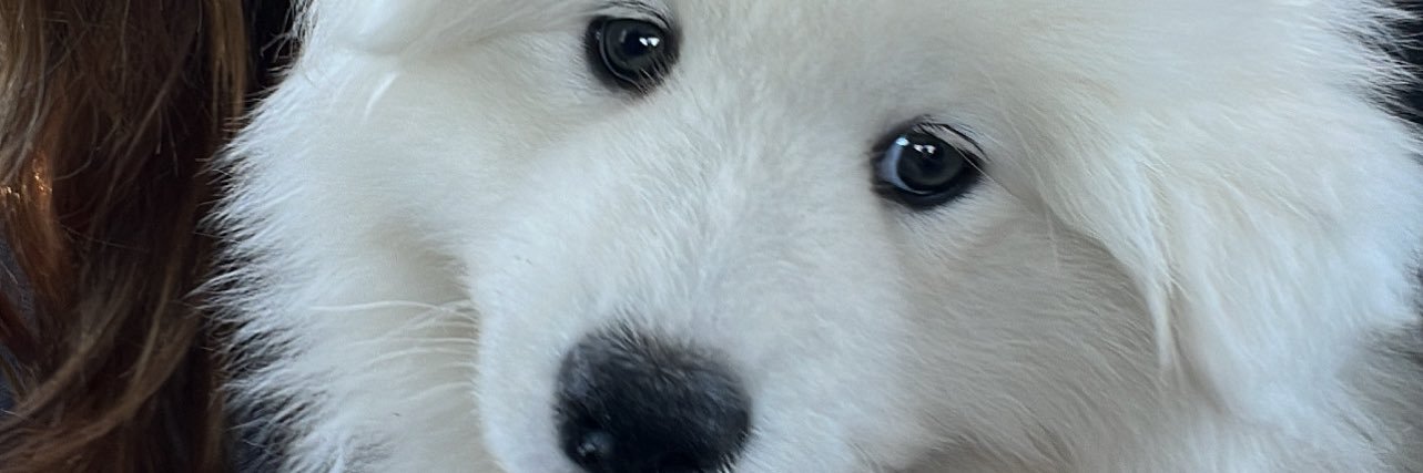 imfromrome's profile banner image