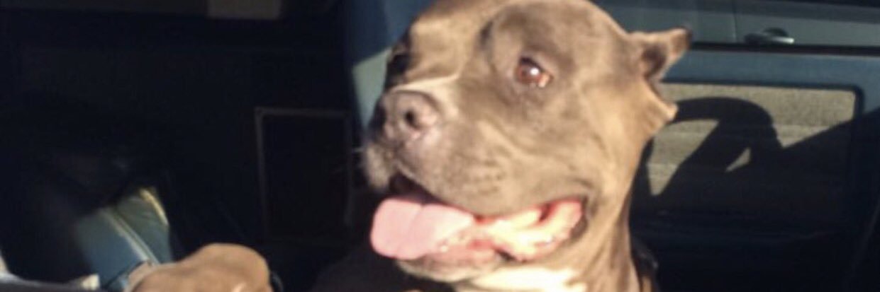 Briana Arredondo banner