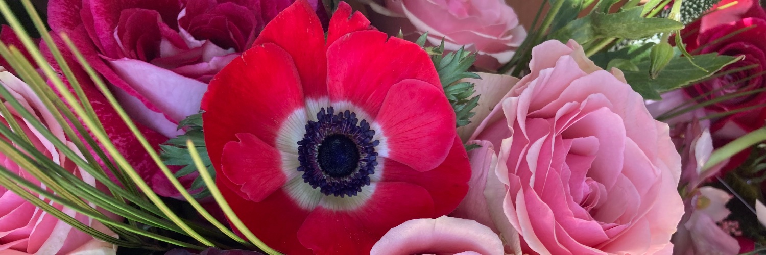 SarahPincus's profile banner image