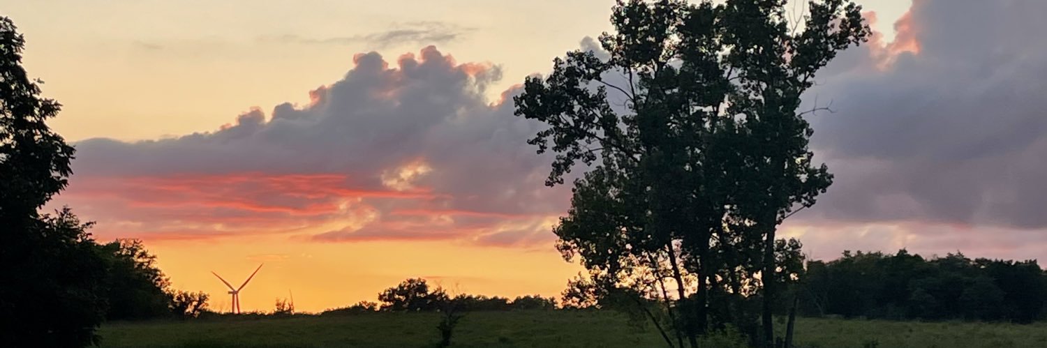 aallyjoyy's profile banner image