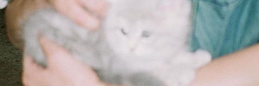 perfectshock's banner