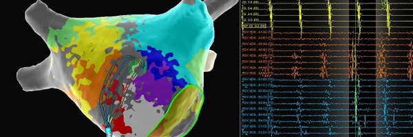 chanida435 Profile Banner