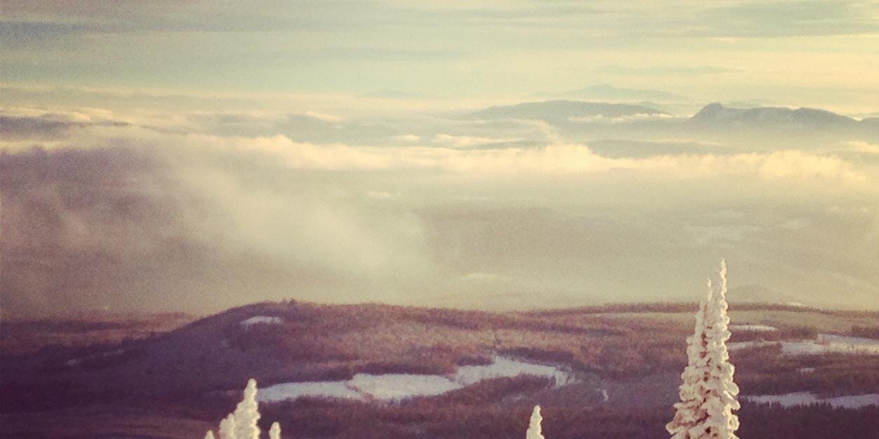 Sarah Goodman banner