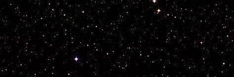 🐾 banner