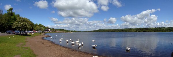 Clydemuirshiel Profile Banner