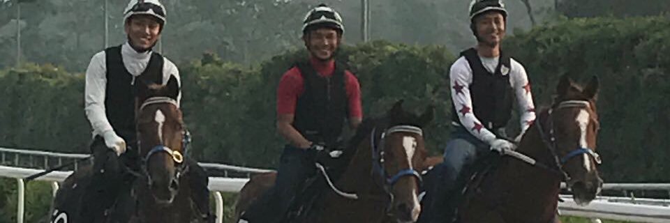SaimeeRacing's profile banner image