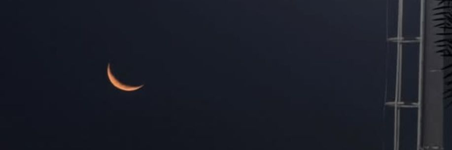 mai_ariass's profile banner image