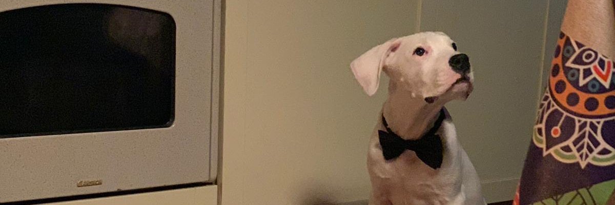 MicheleGhirarde's profile banner image