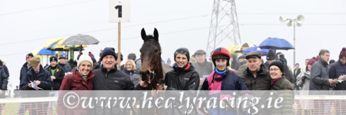 Robert Tector banner