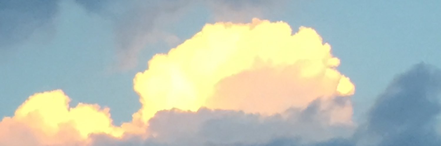 LisaKellyVance's profile banner image