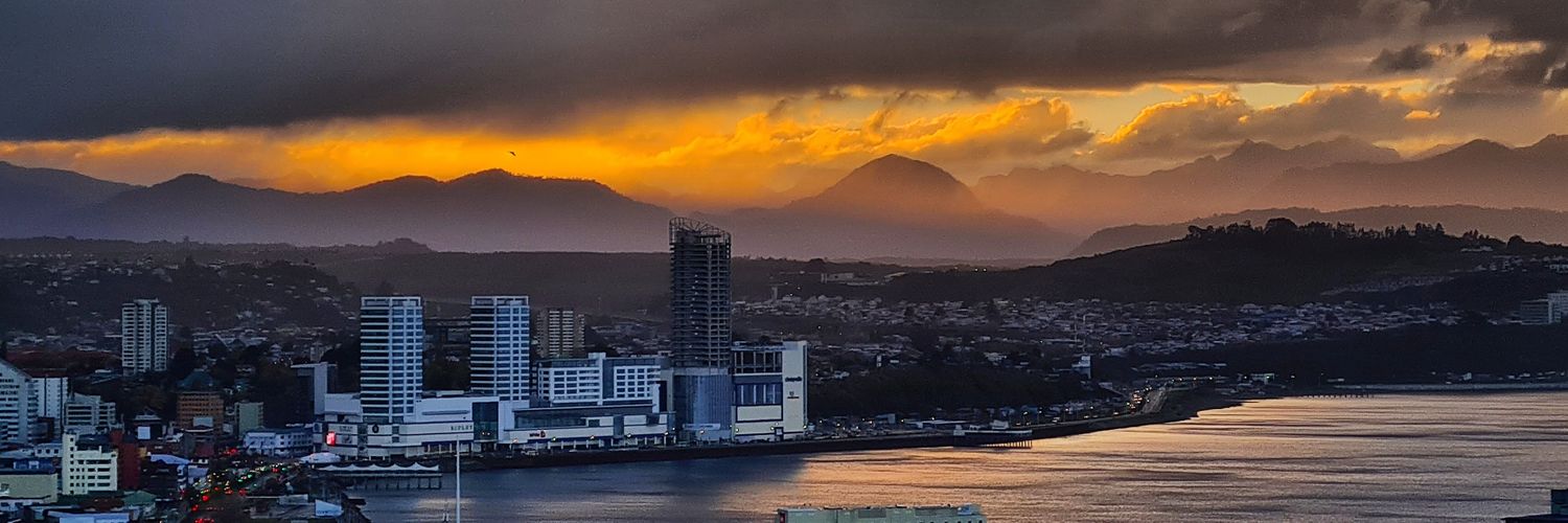 Henriquez Flores Christian🚒 banner