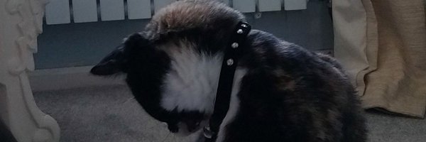 Ginytonic Profile Banner