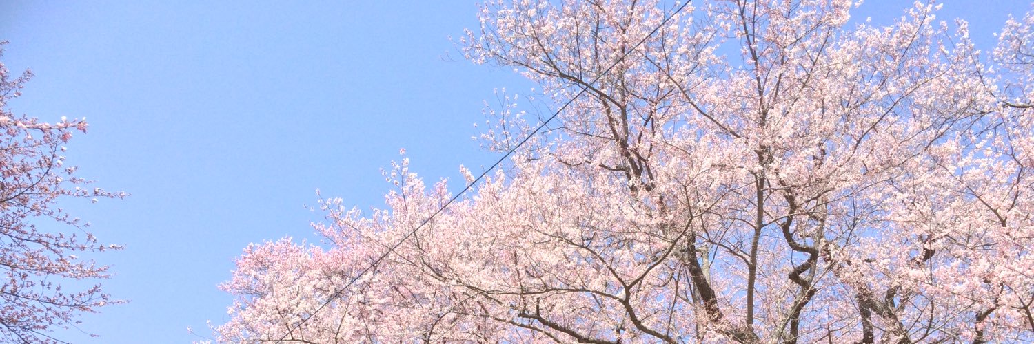 suicojin's profile banner image
