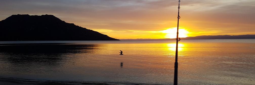 Fred Newbloke banner