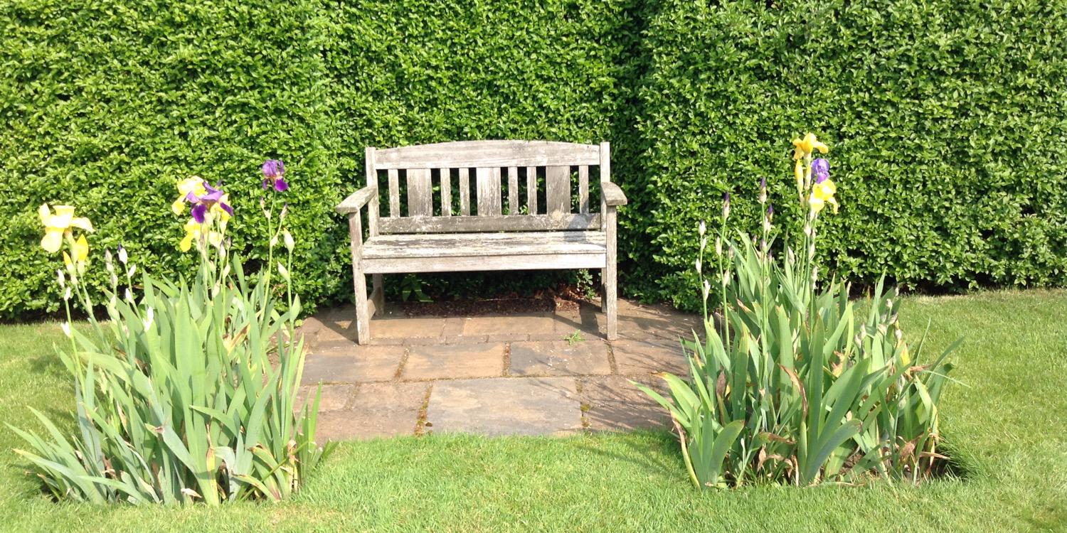 Margaret Stuart banner