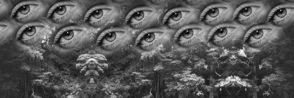 bexsayswords Profile Banner
