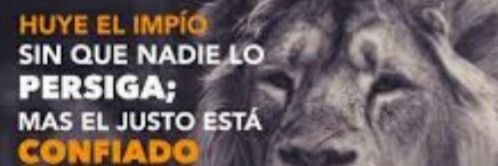 CoachAlbaroca's profile banner image