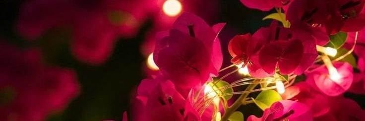 unknown4o8o's profile banner image