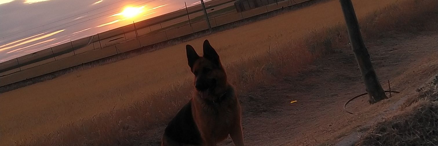 rodricid96's profile banner image