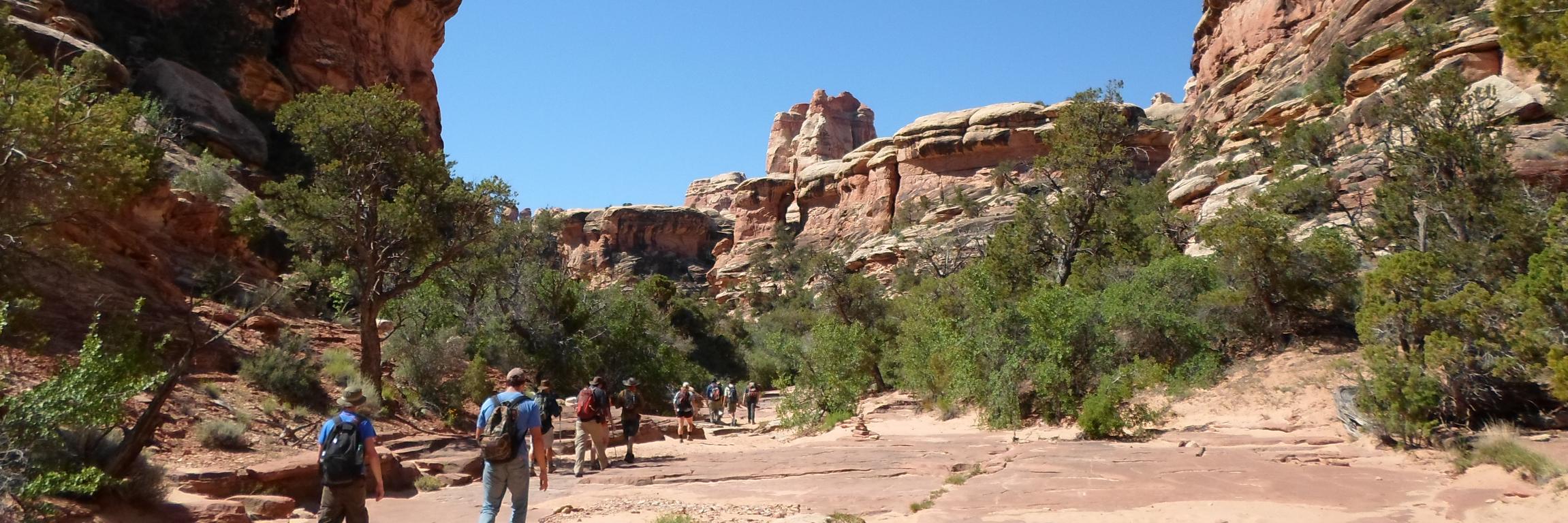 CalUGeology's profile banner image