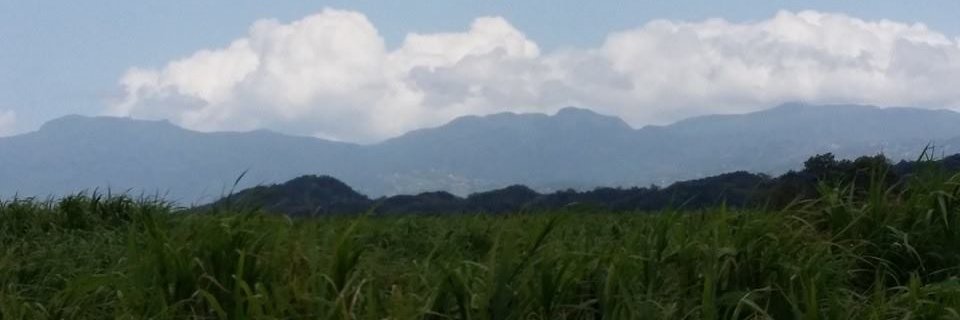 DrAndCDO's profile banner image