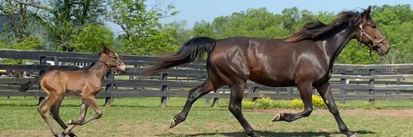 StandardbredPA Profile Banner