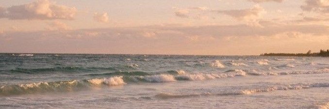 DendyPinky's profile banner image