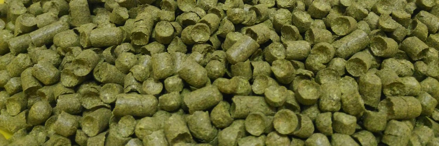 Free Lions Beer banner