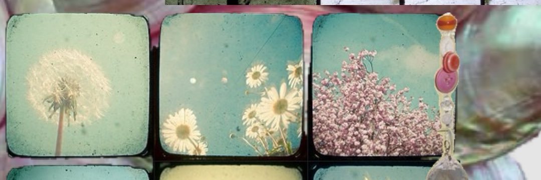 allium.zip🧸 banner