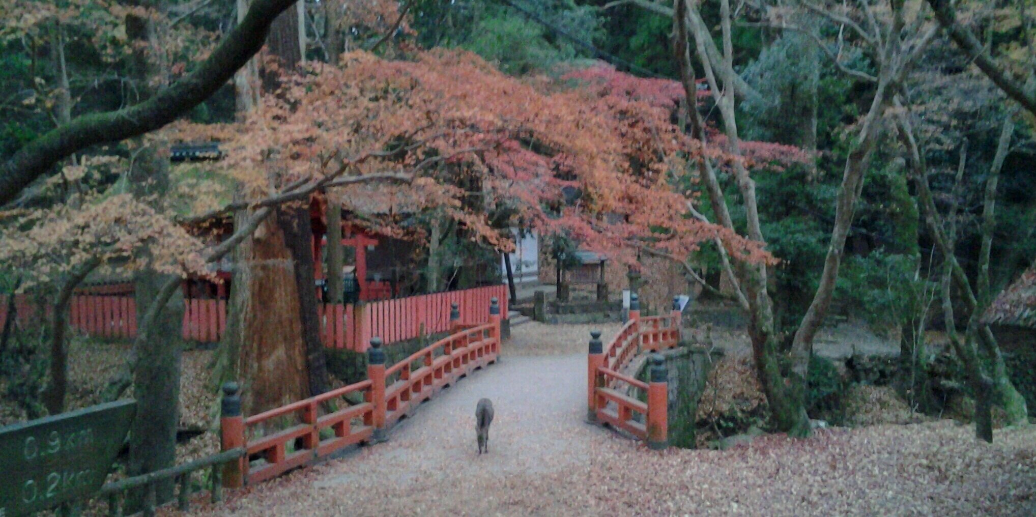 wakyoko's profile banner image