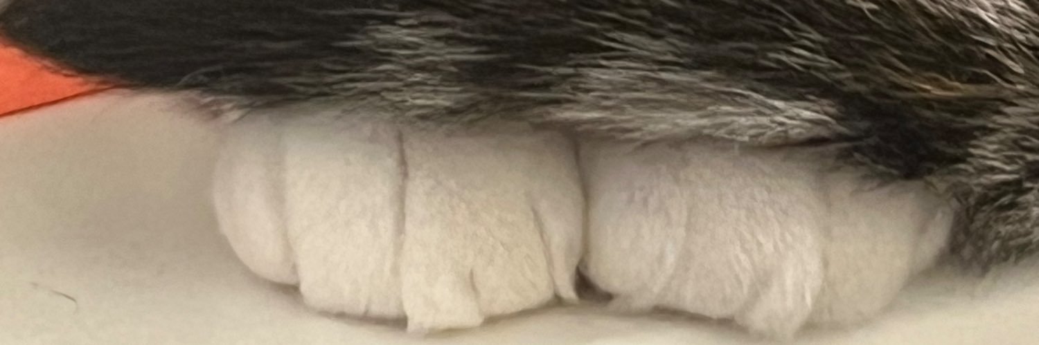 Wend ☠️ 🇬🇧 banner