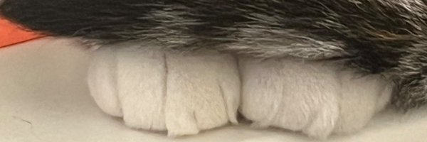 Wend443 Profile Banner