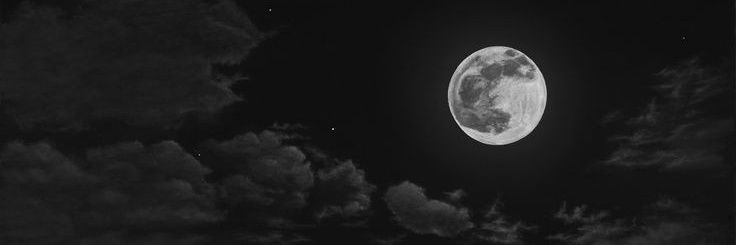 ilybysfa's profile banner image