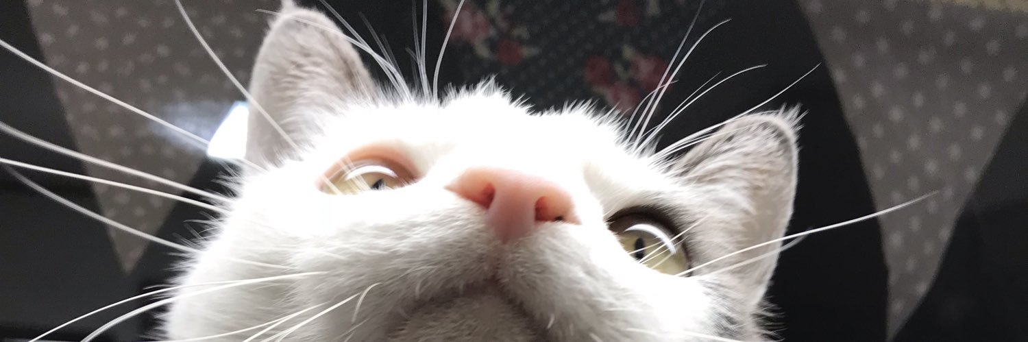 nyaokobj's profile banner image