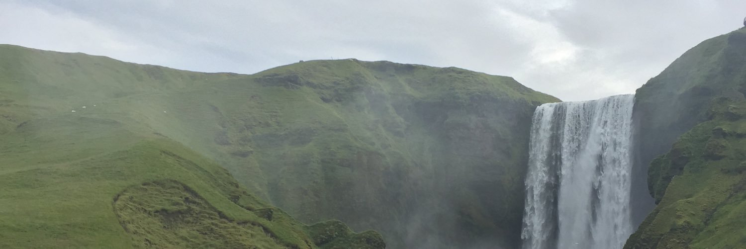 WhitcombELL's profile banner image