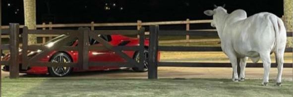 Brenelson157's profile banner image