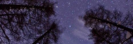 ShevlinBen's profile banner image