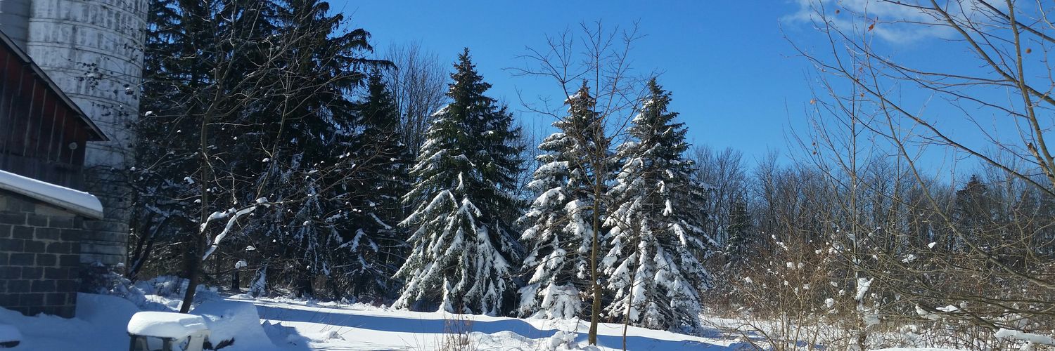 Melissa Henderson banner