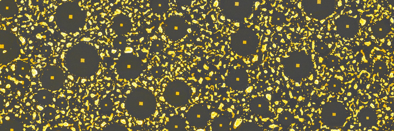 Greensnob's profile banner image