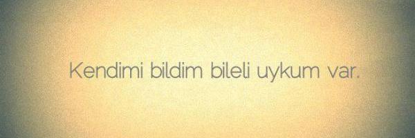 yldrm_drya's profile banner image