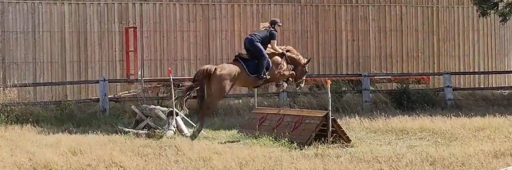 Lau 🏎 🐴 banner