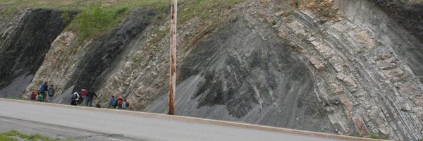 PallantAmy Profile Banner