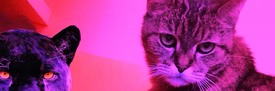 MargoMagz's profile banner image