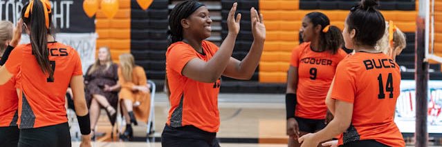Alanah Pooler banner