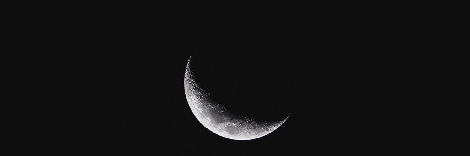 flavyanesilv's profile banner image