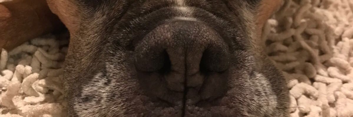 BarbarosEvin's profile banner image