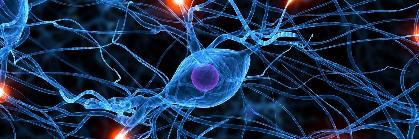 Societat Catalana de Psiquiatria i Salut Mental banner