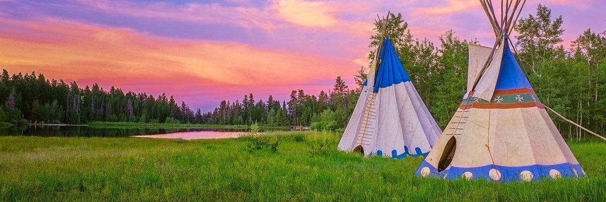 TrapperTrails's profile banner image