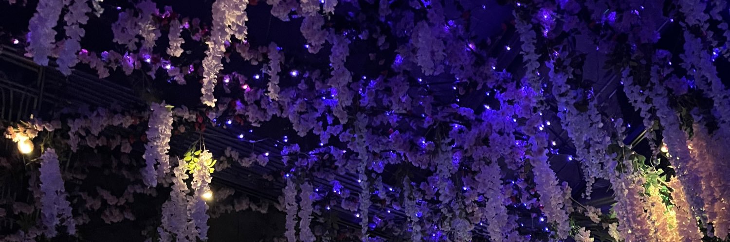 zaynabwhy's profile banner image